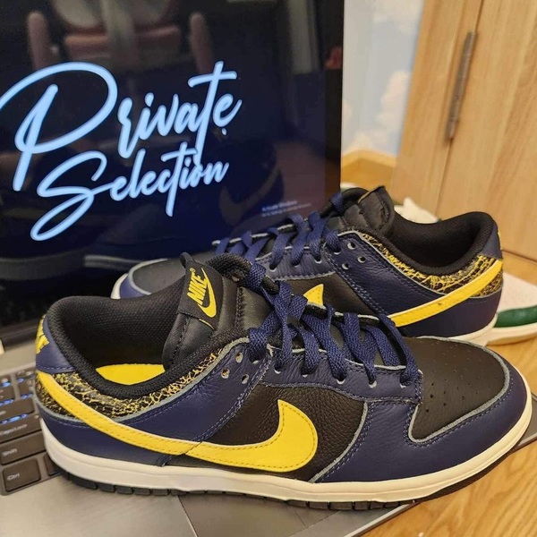 The Nike Dunk Low Vintage 